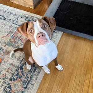 Fundraising Page: Madison Bartz